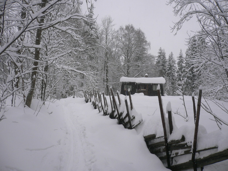 winter at the cabin