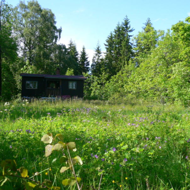 cabin in spring