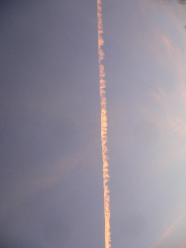 flight