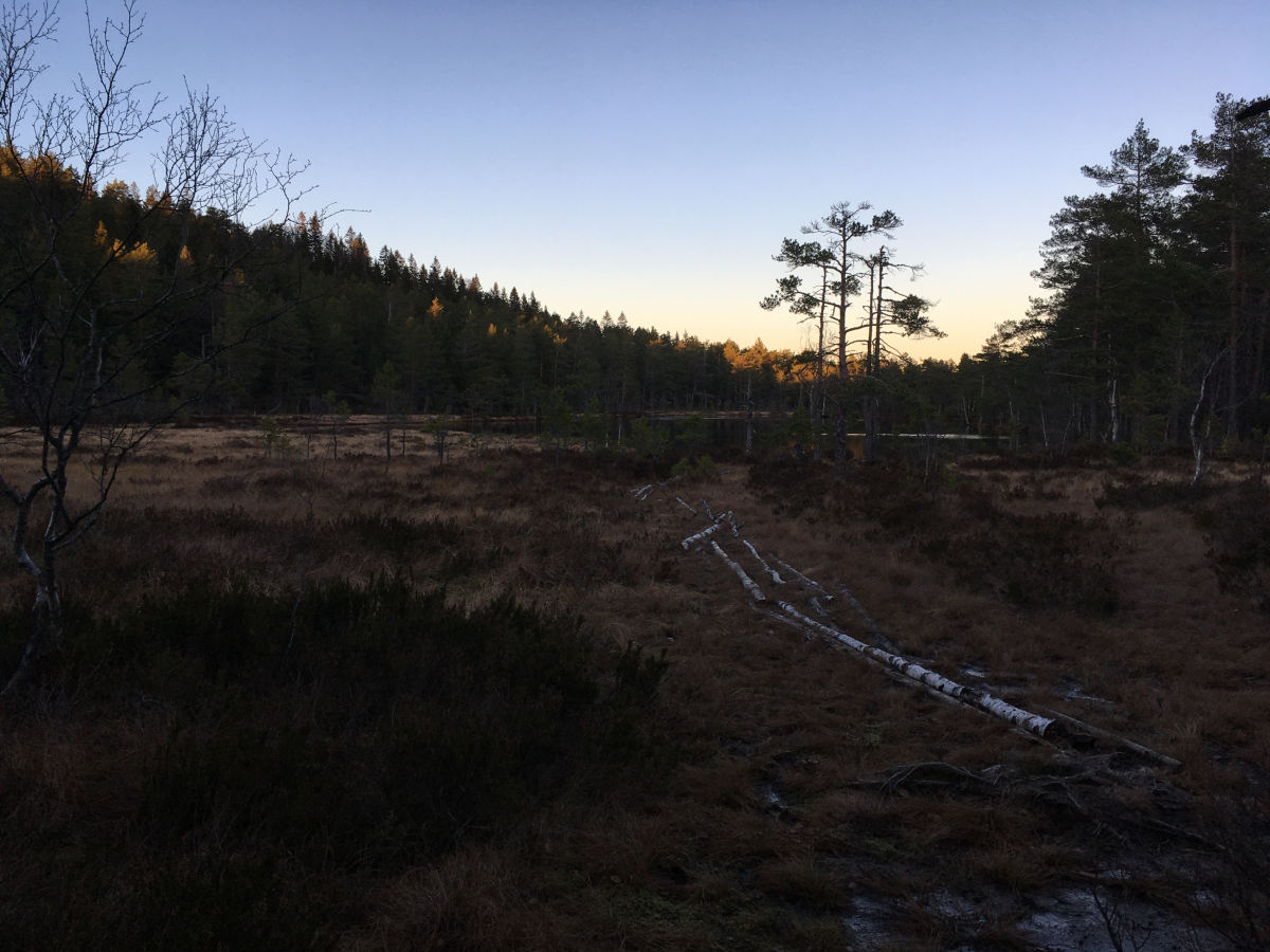 vardåsen