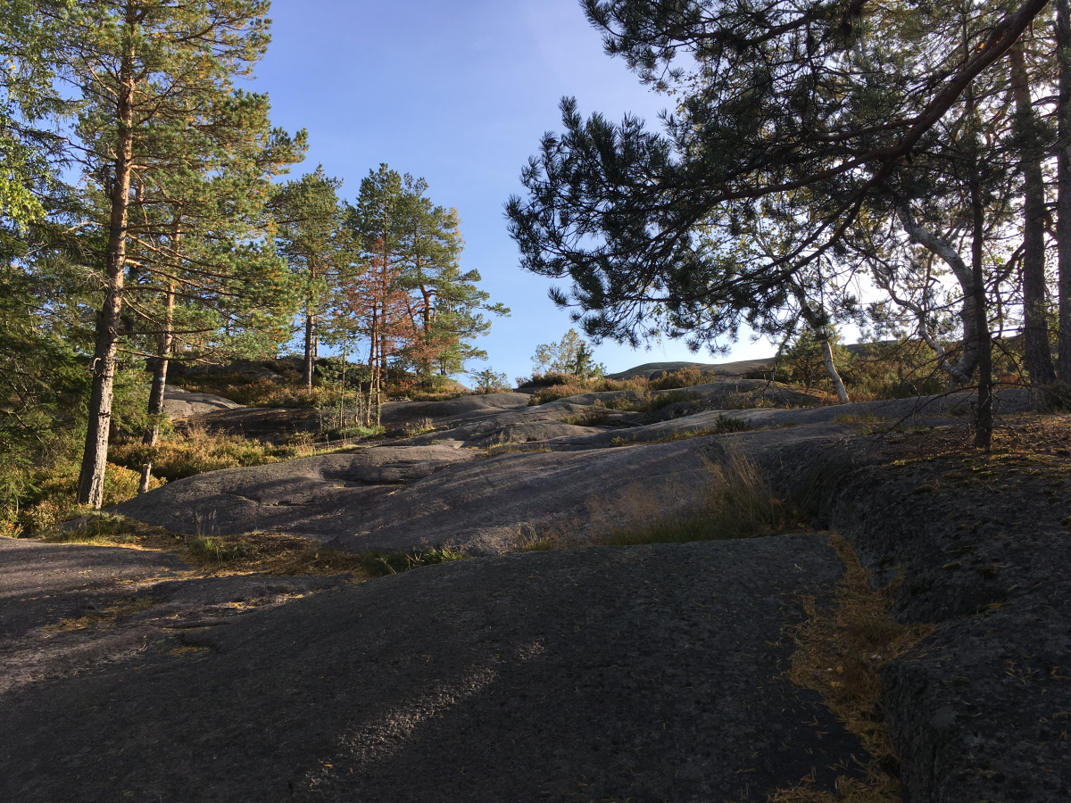 vardåsen