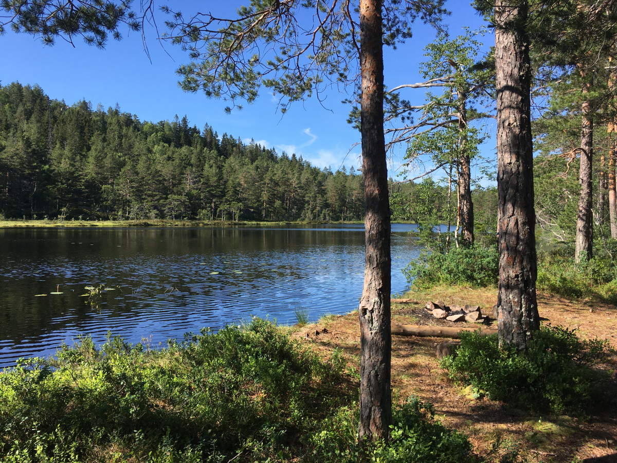 vardåsen