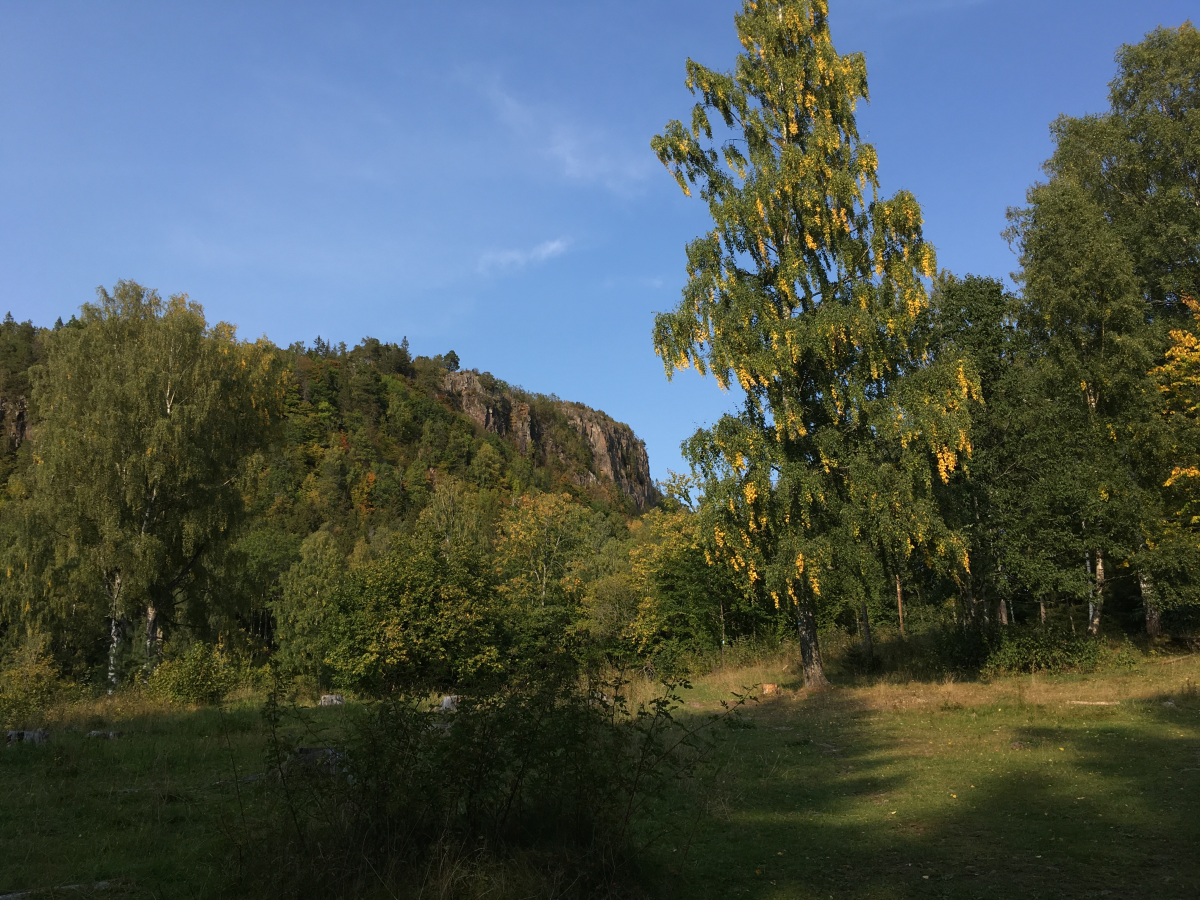 skaugumsåsen