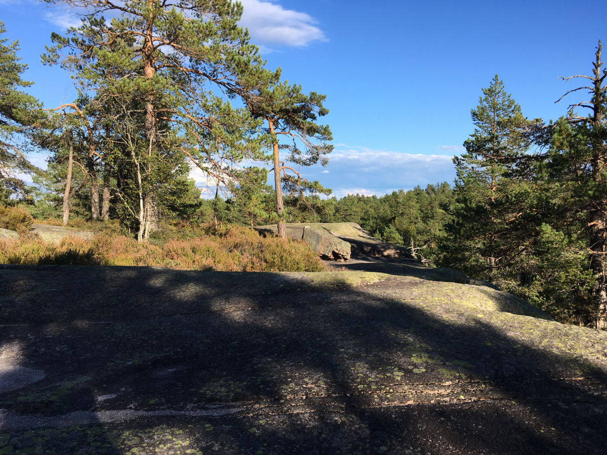 vardåsen