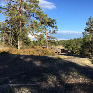 vardåsen
