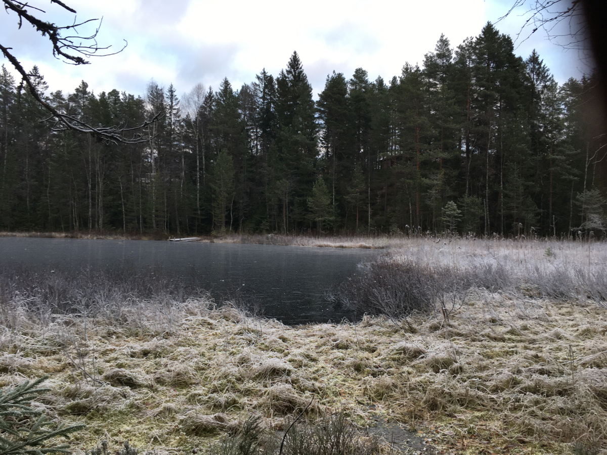 ice