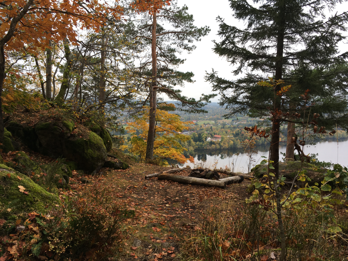 skaugumsåsen