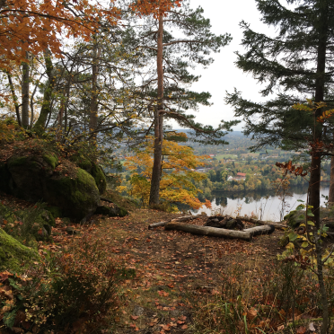 skaugumsåsen