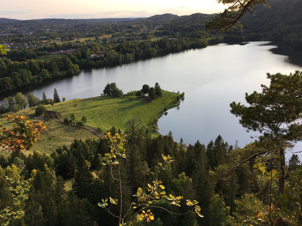semsvann