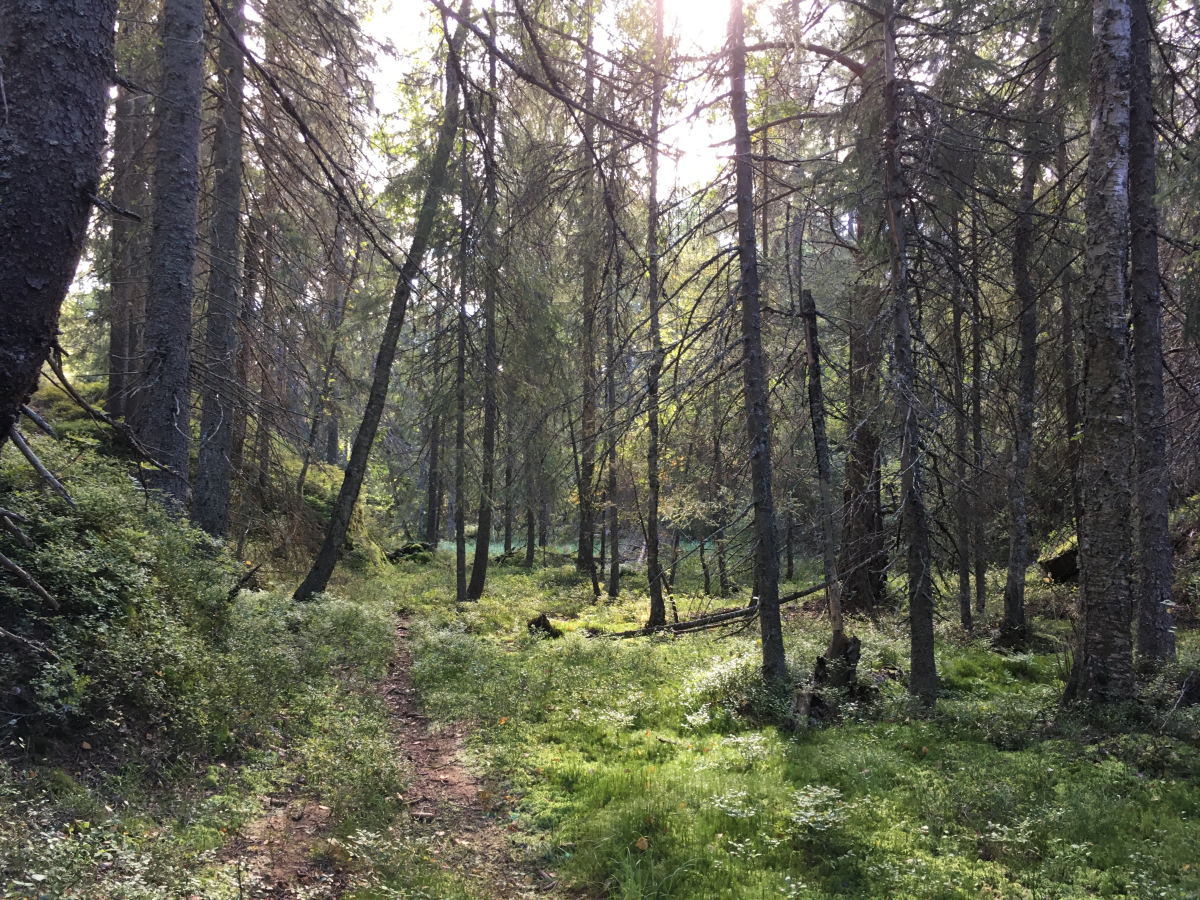 path