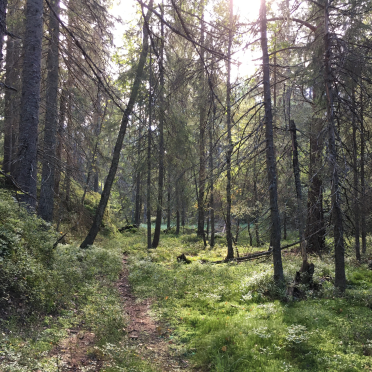 path