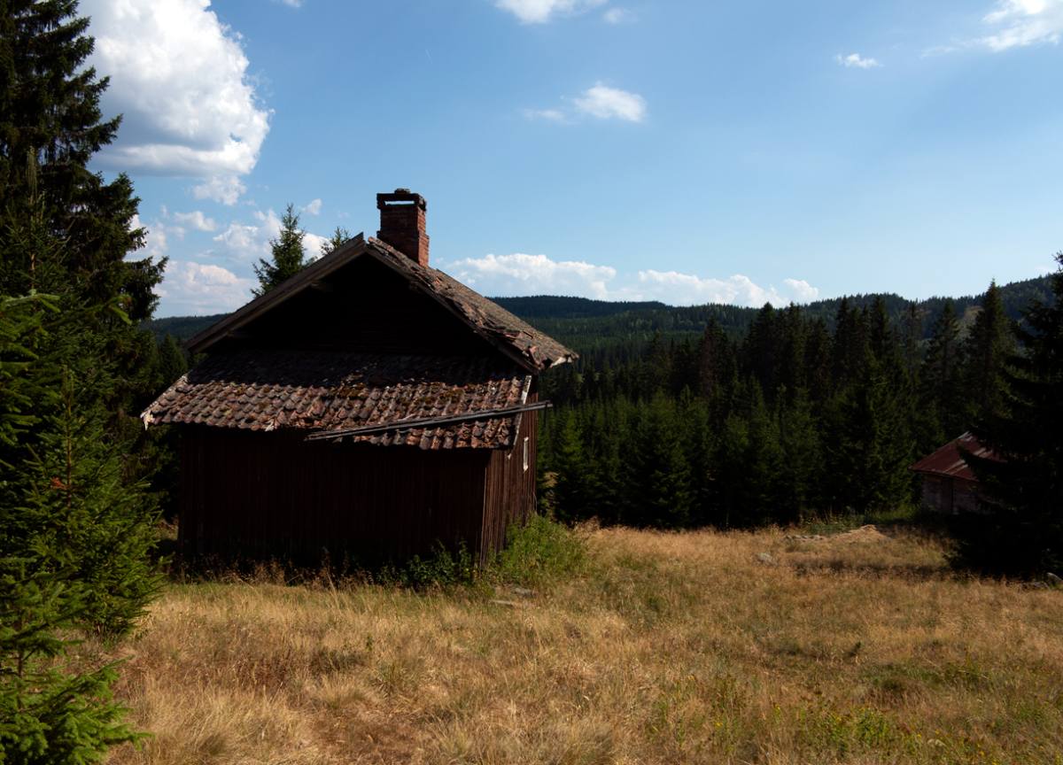 dry summer