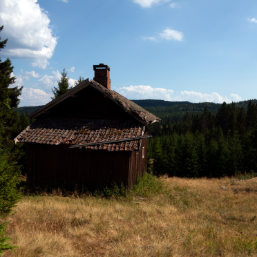 dry summer