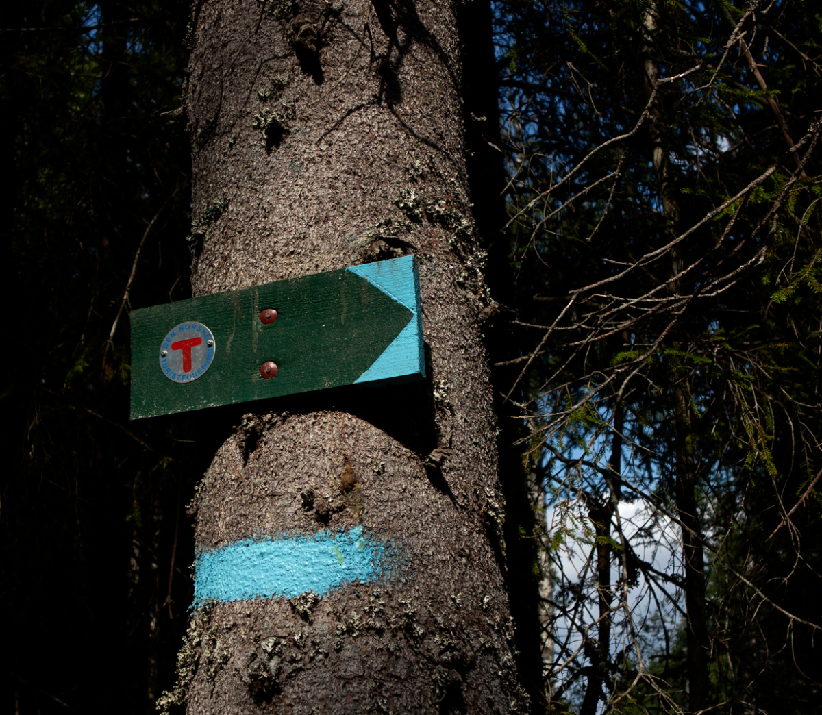 paths