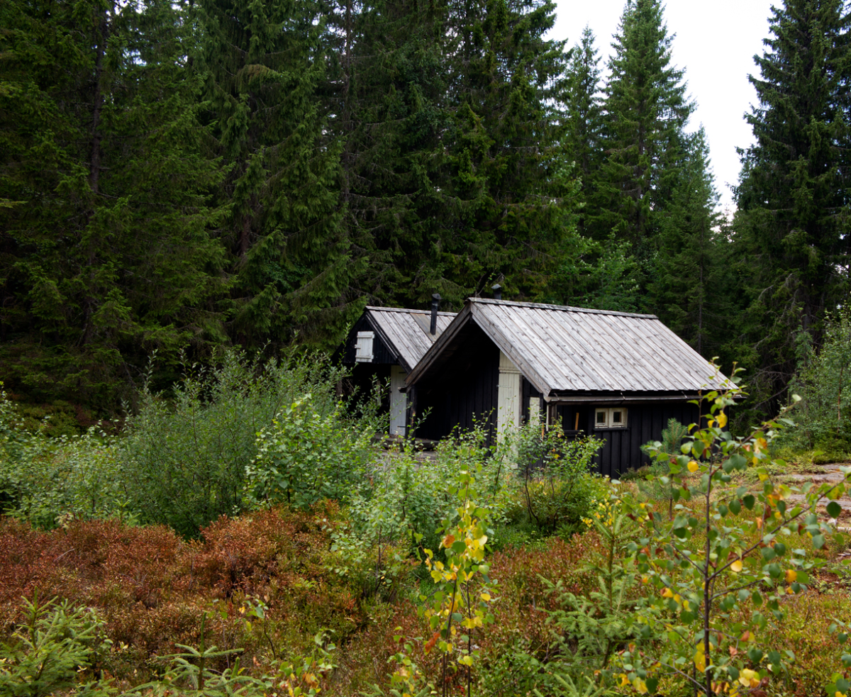 cabins