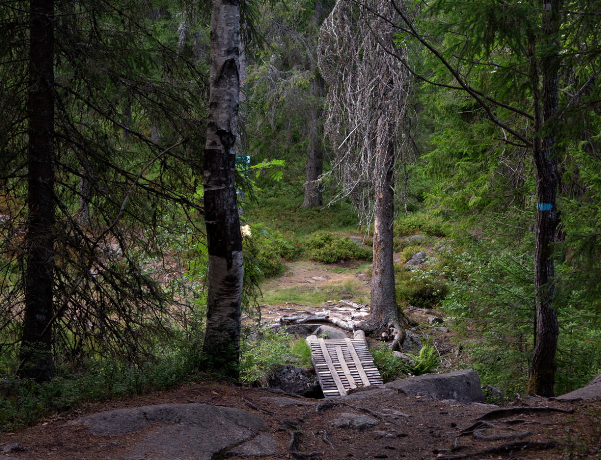 crossing