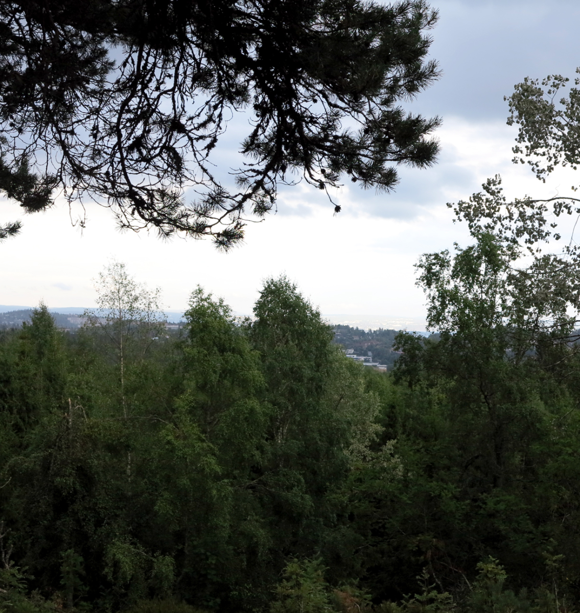 looking at oslo