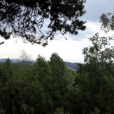looking at oslo