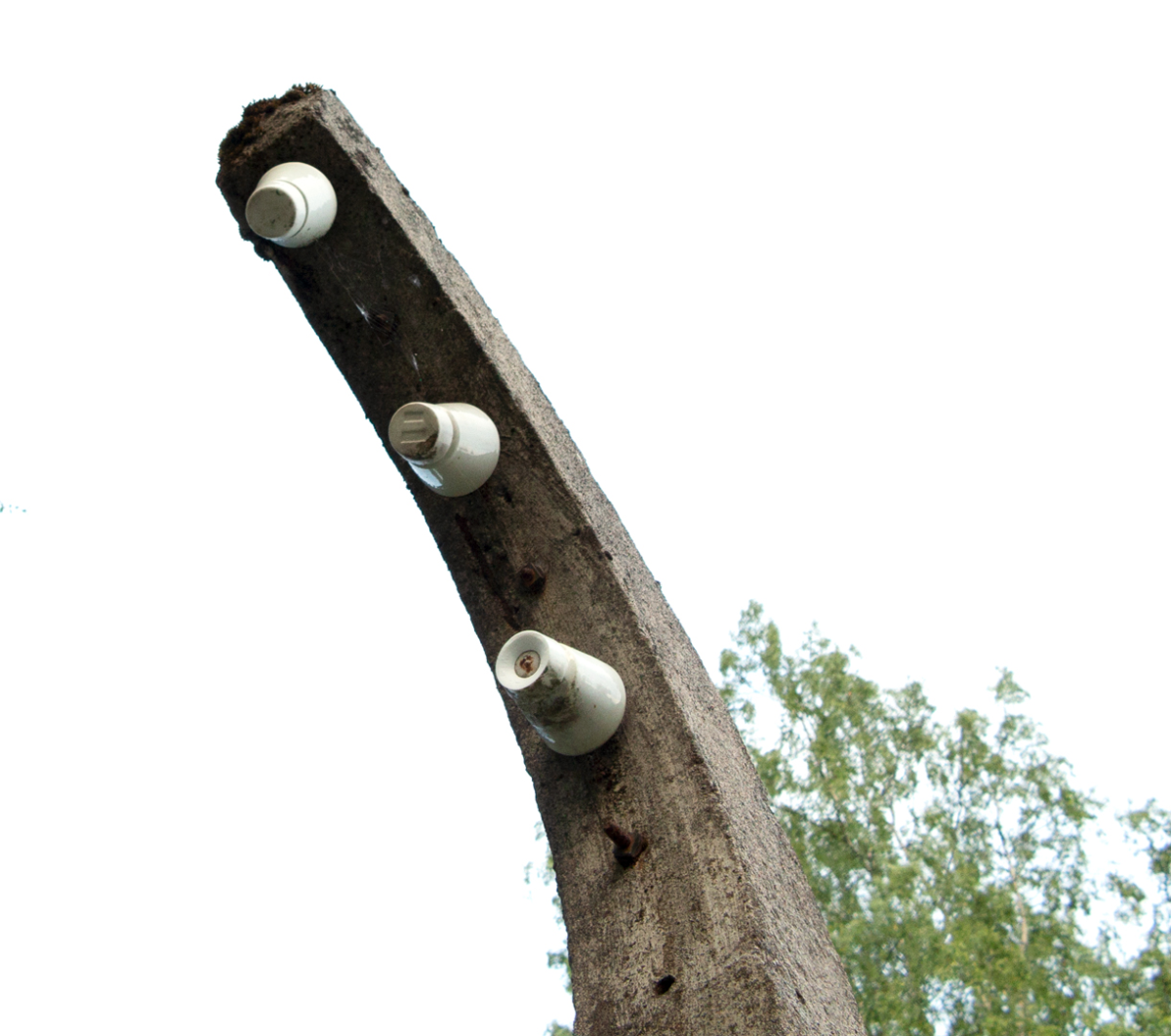 grini
