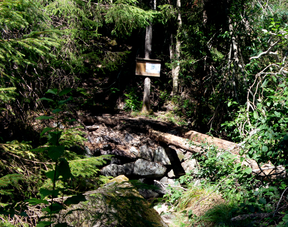 bridge