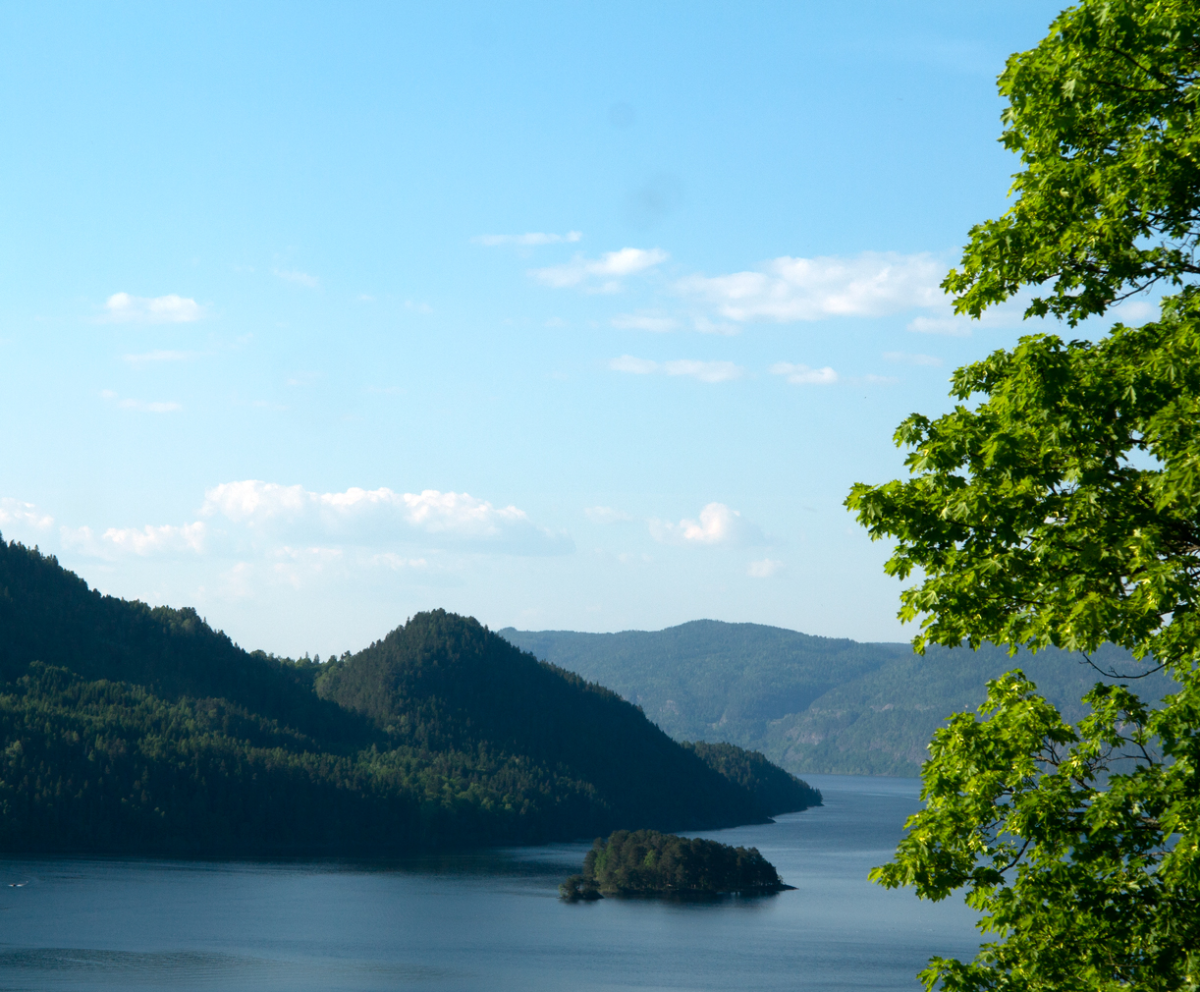 holsfjorden 
