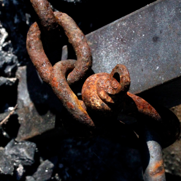 anchored in ashes