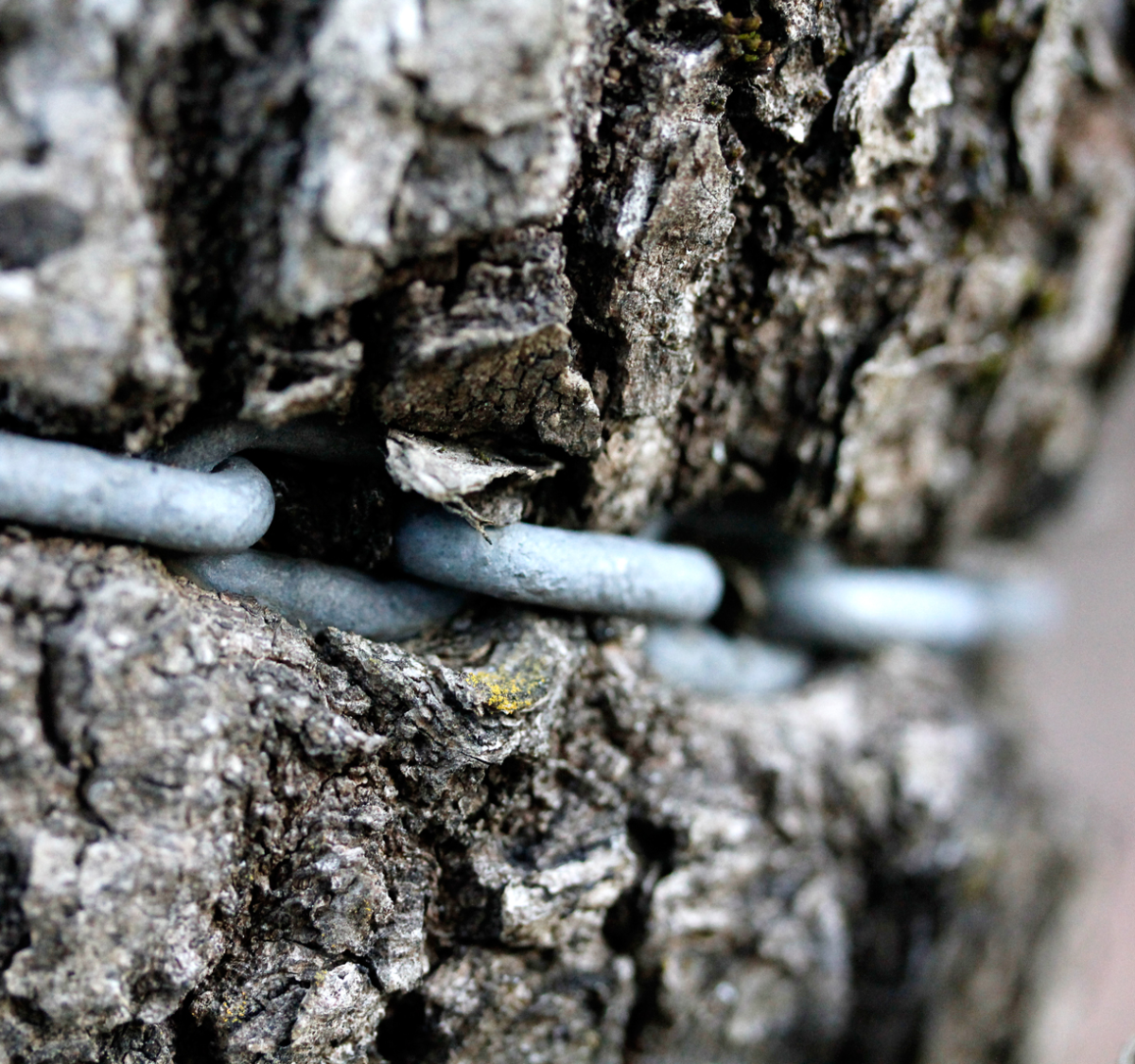 chain