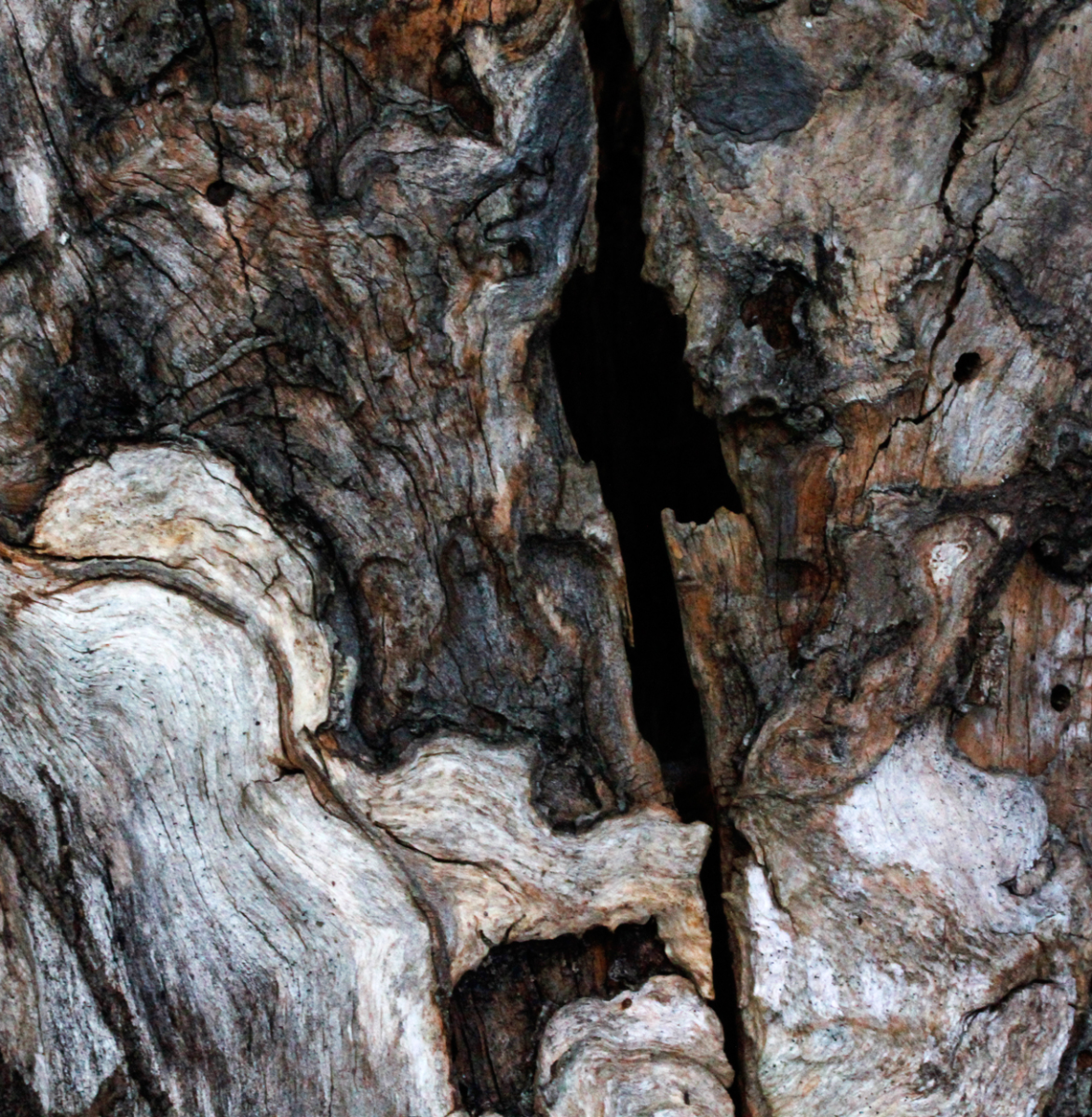 wood