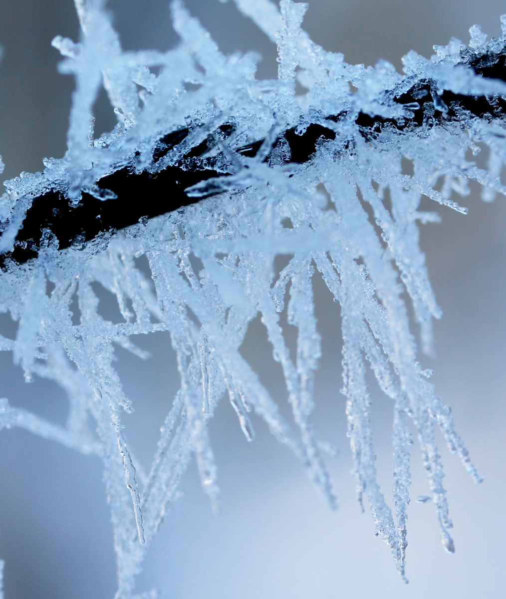 ice crystals