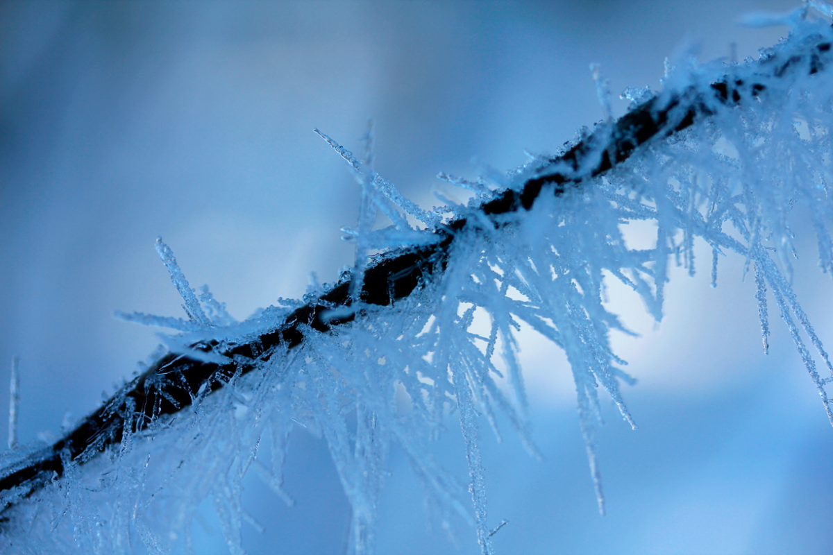 ice crystals