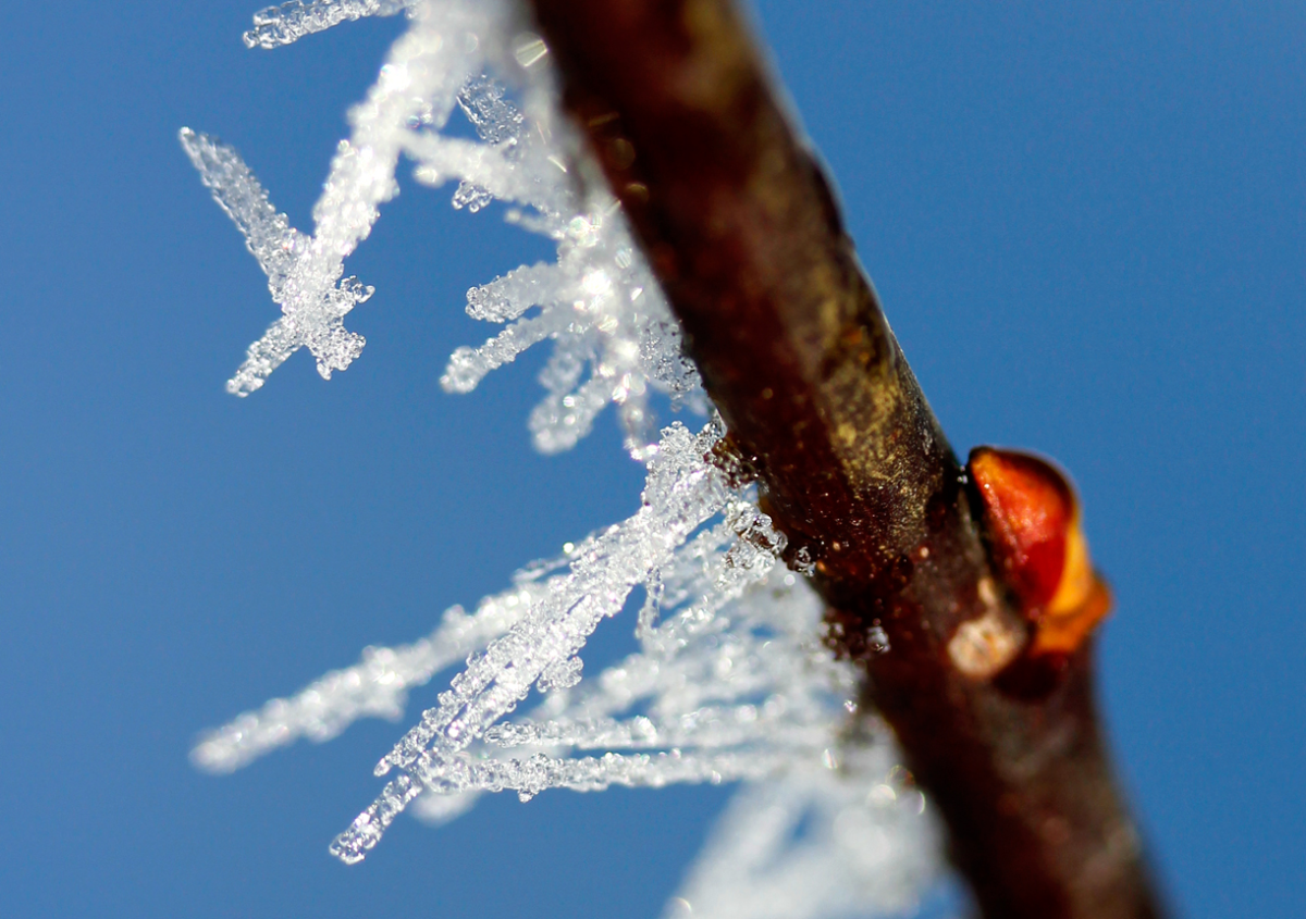 ice crystals