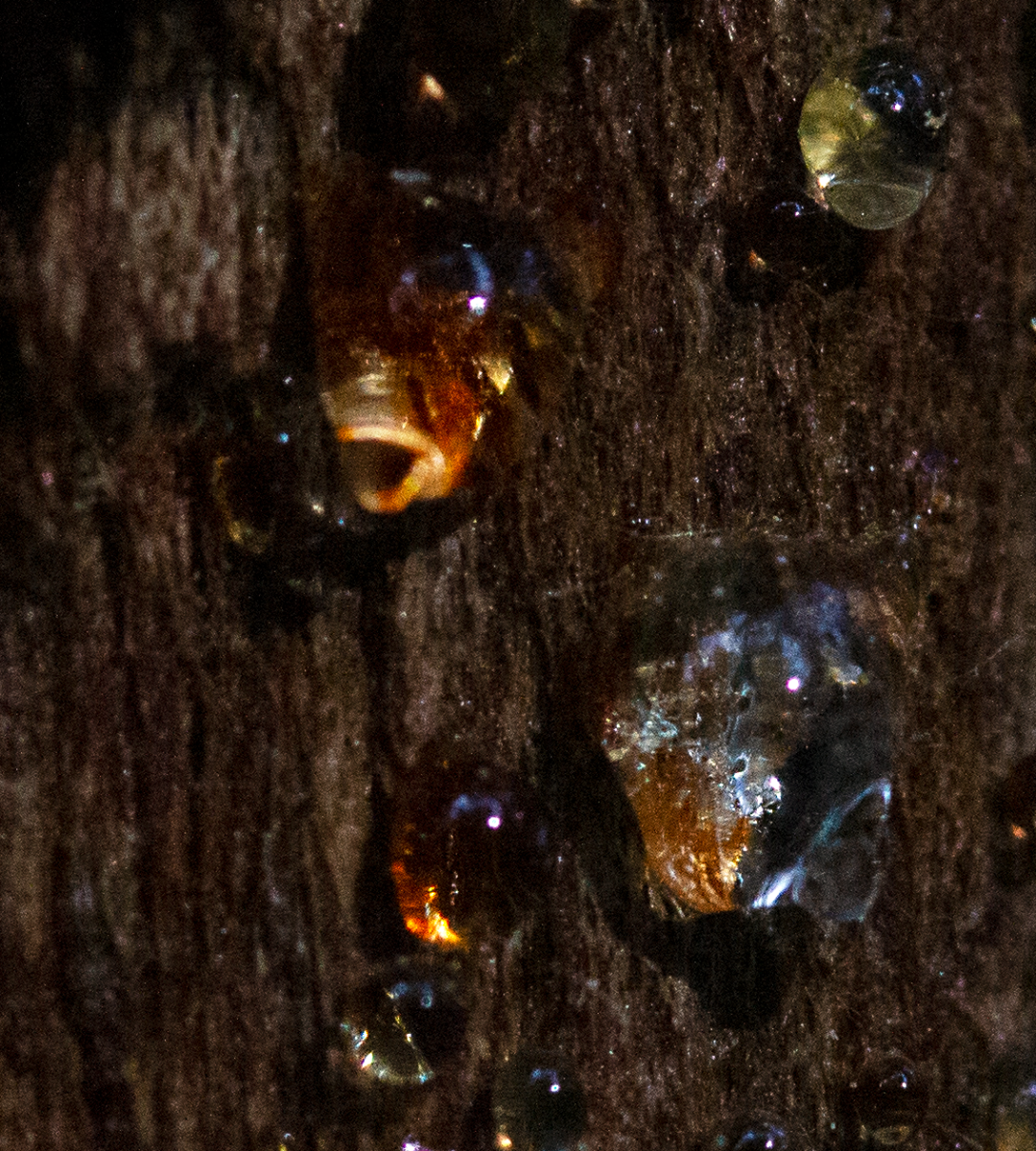 sap