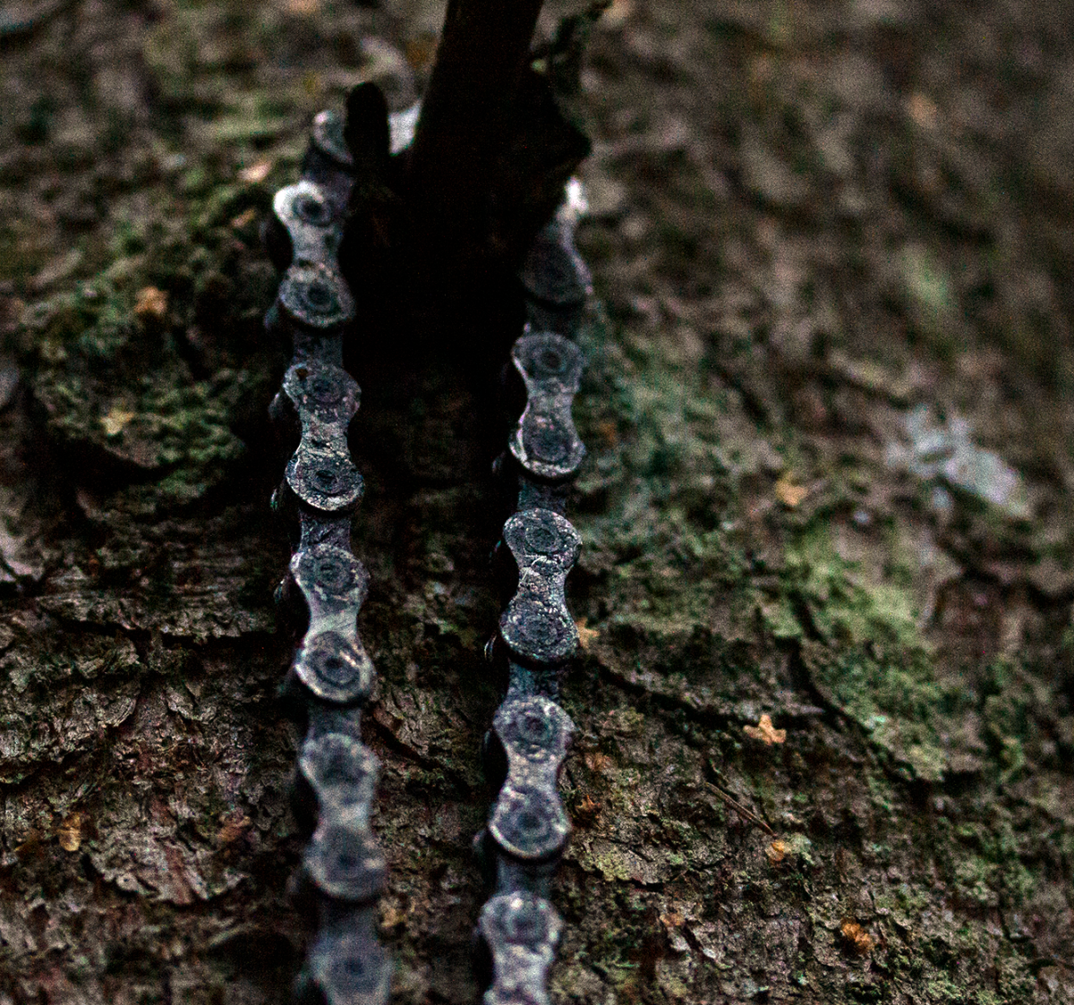 bicycle chain