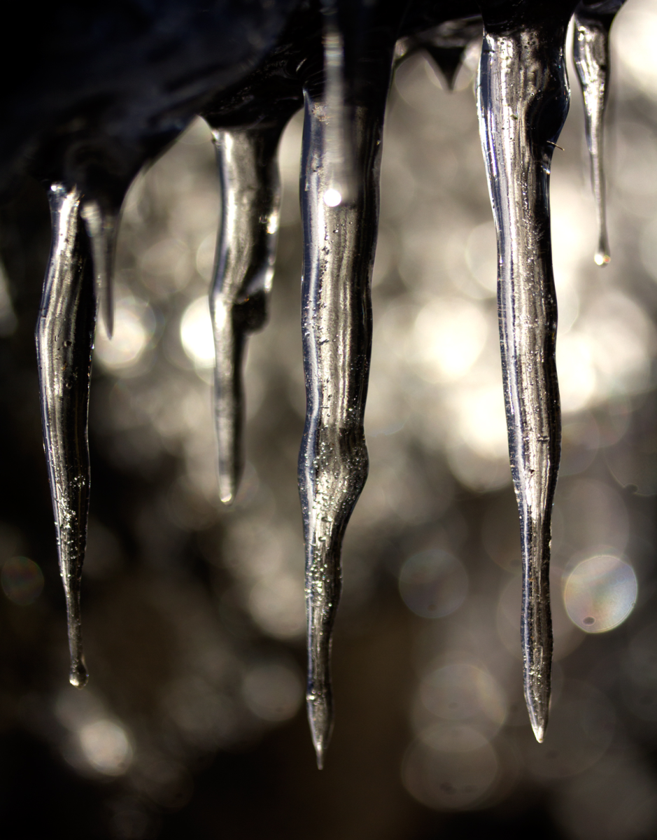 icicles