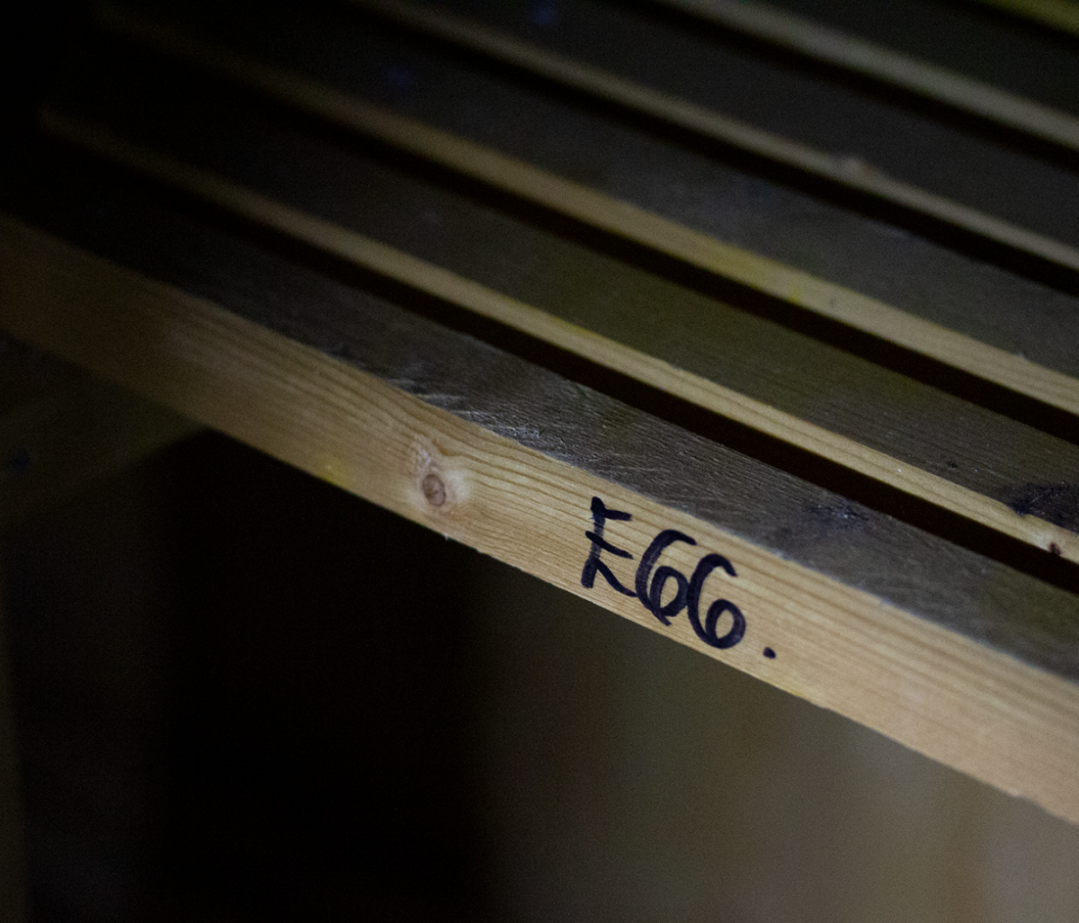 egg