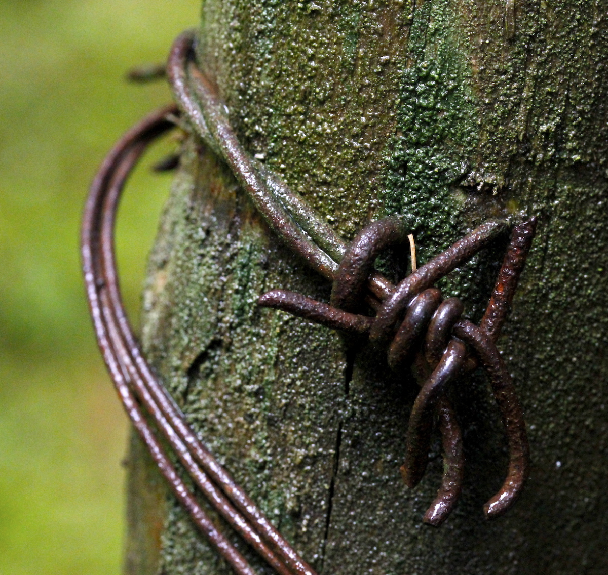 grip