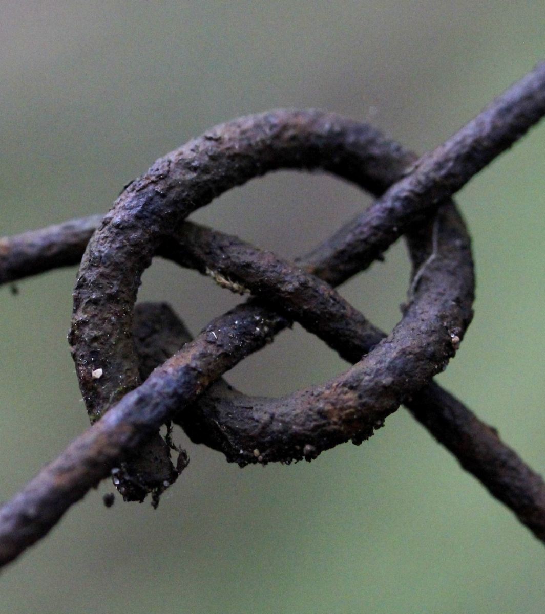 fence