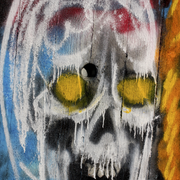 skull