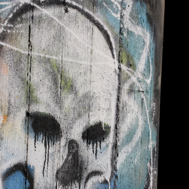 skull