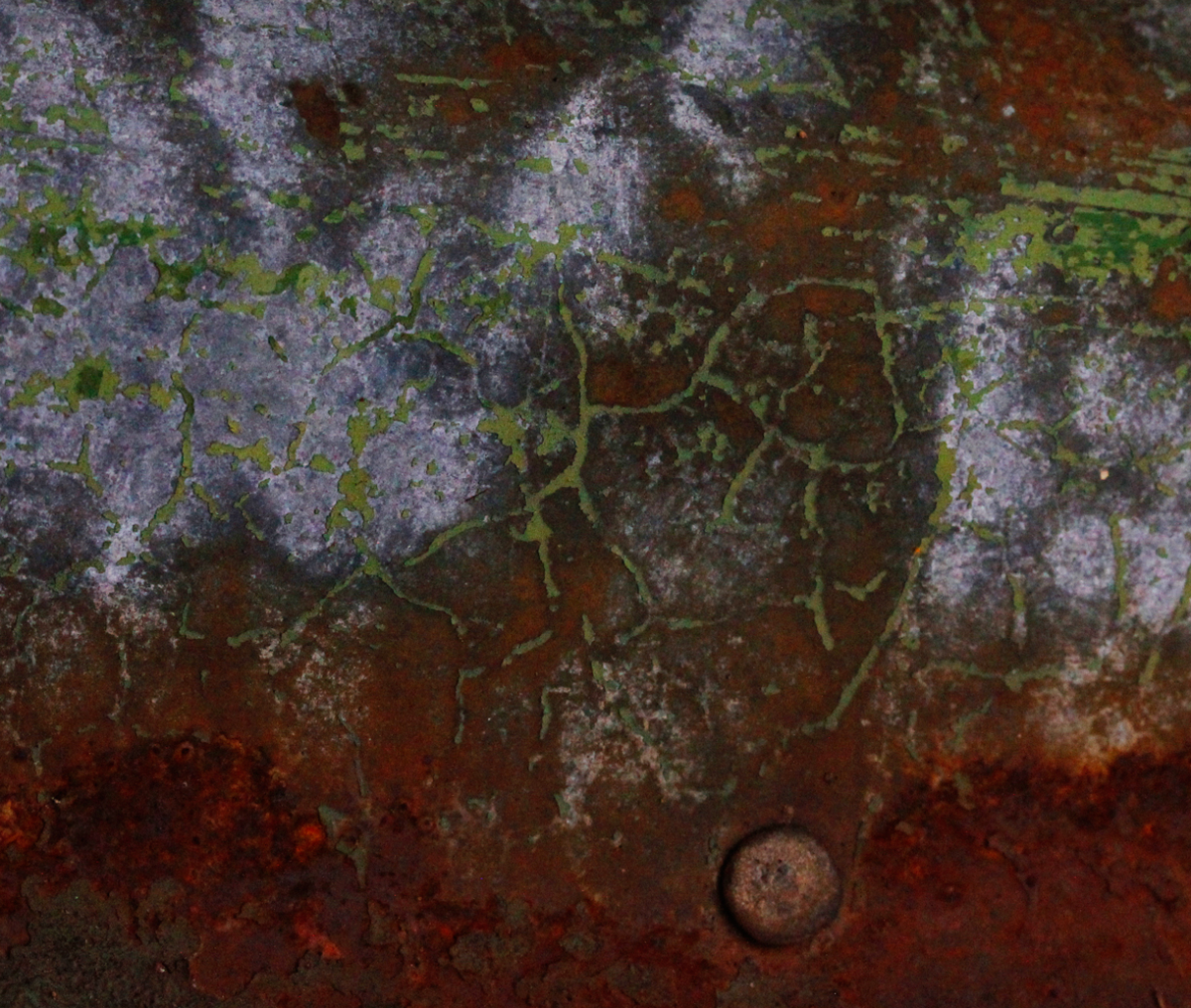 maps in rust and fungi