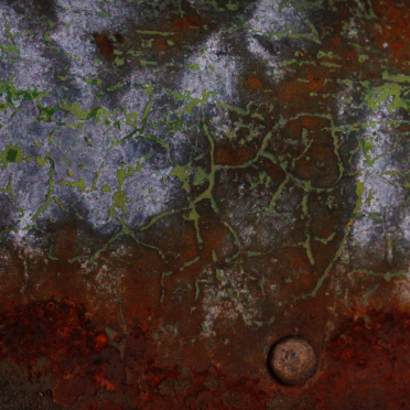 maps in rust and fungi