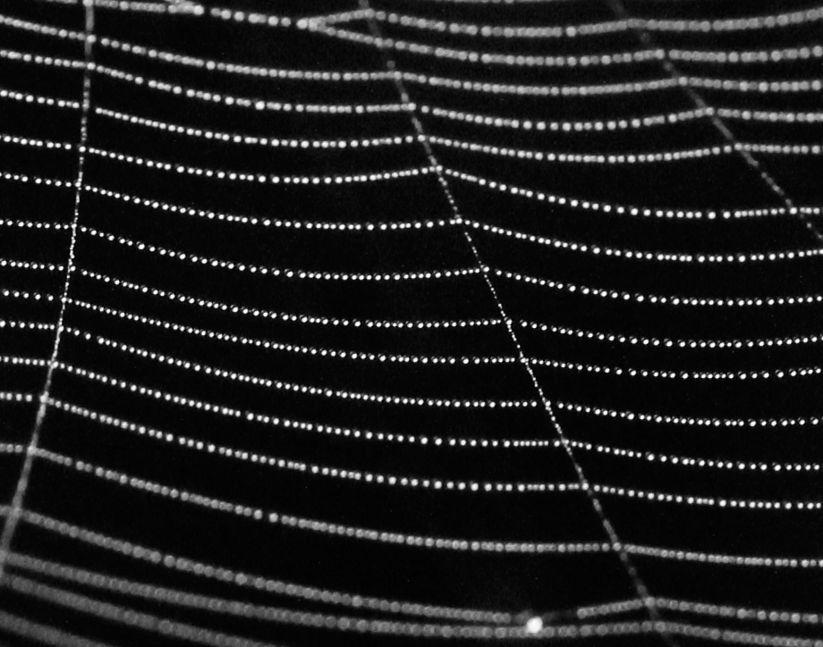 little strings of stars