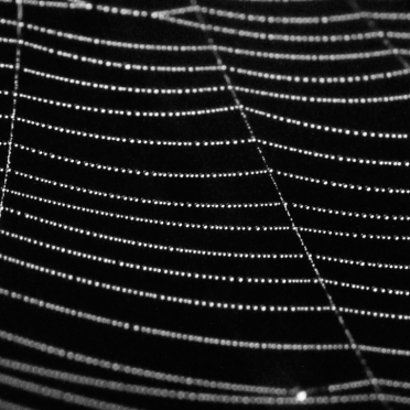 little strings of stars