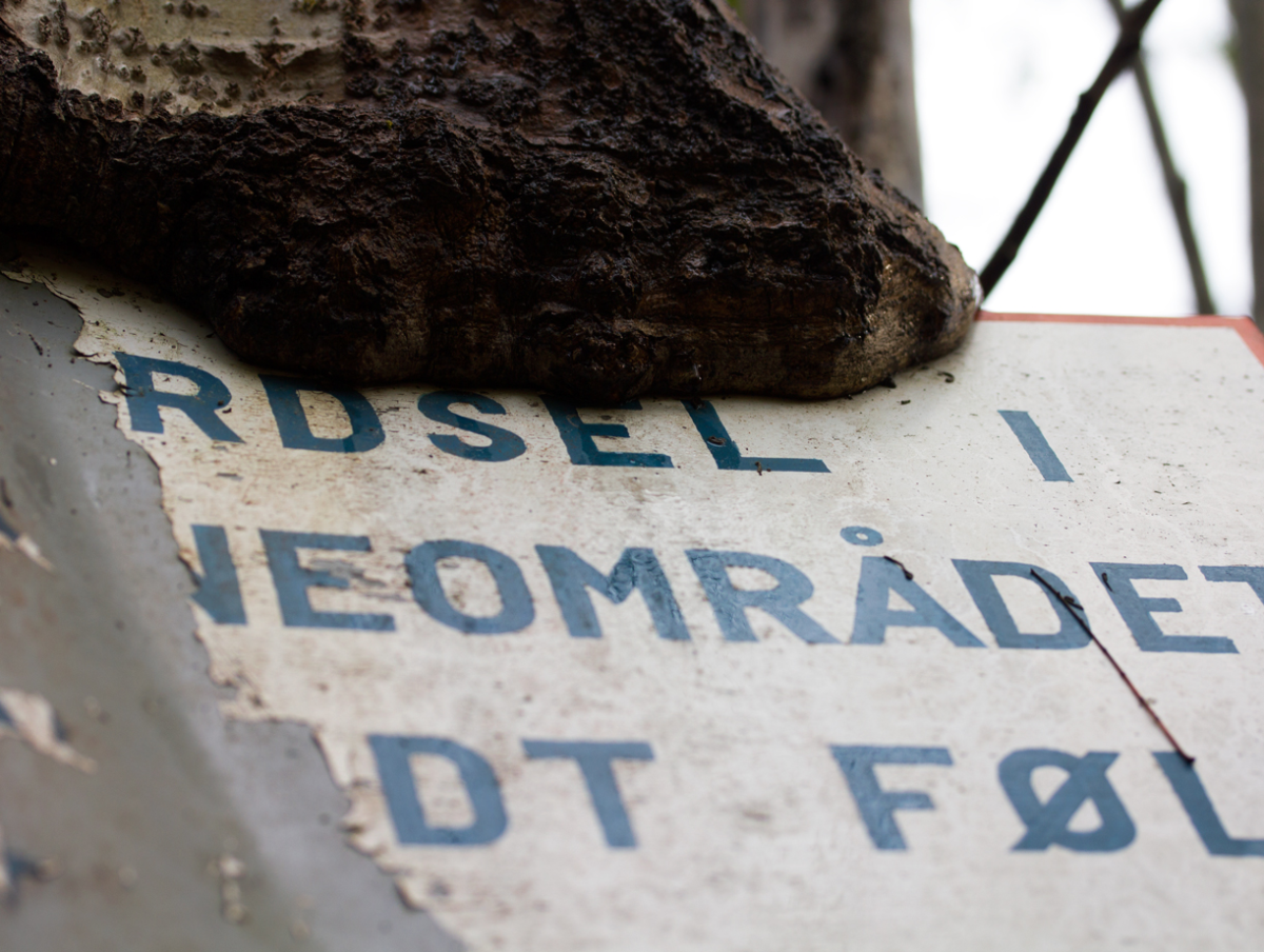 sign being eaten by a tree…