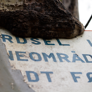 sign being eaten by a tree…