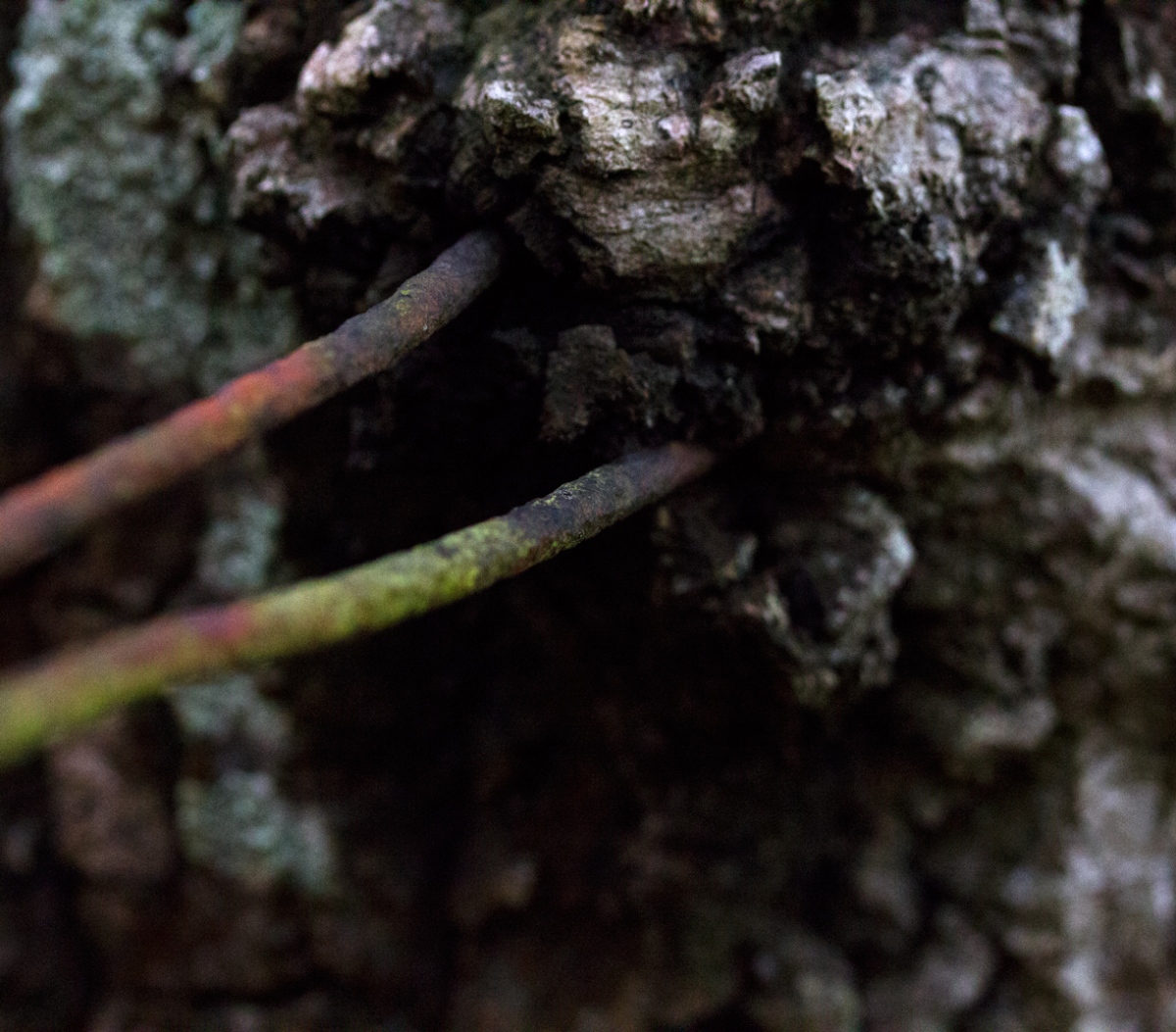 was fence
