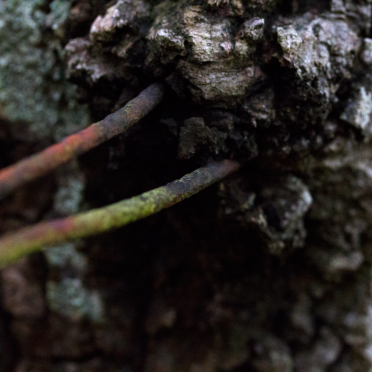 was fence