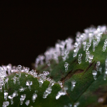 crystalline