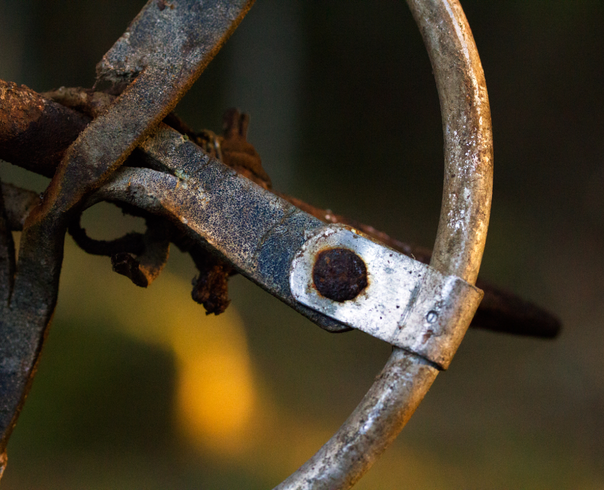 old ski pole