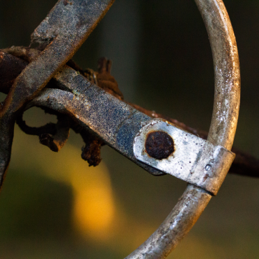 old ski pole